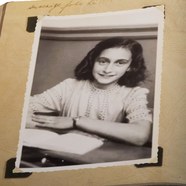 ANN - Diary Image (Straight On)