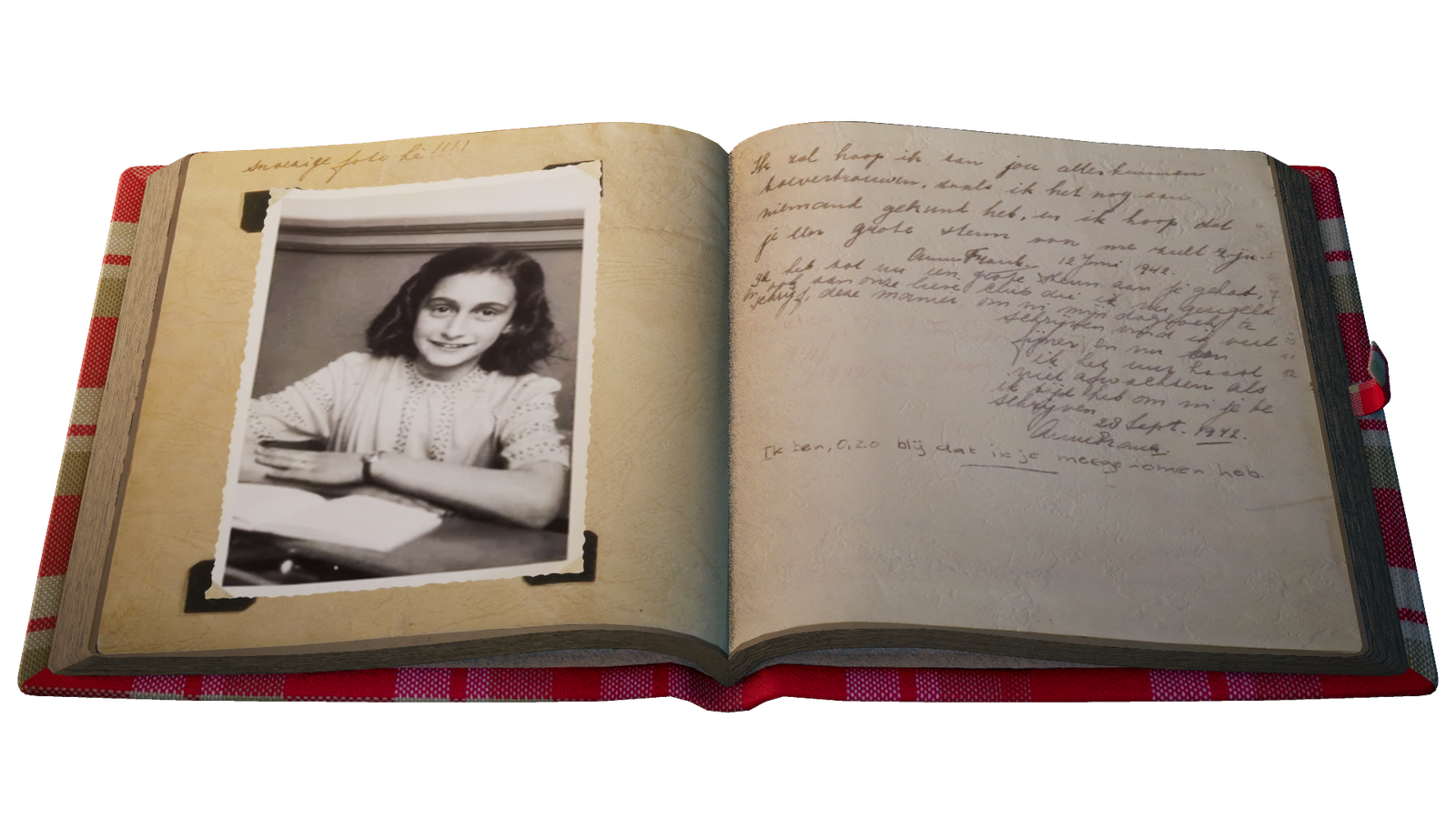 ANN - Diary Image (Straight On)
